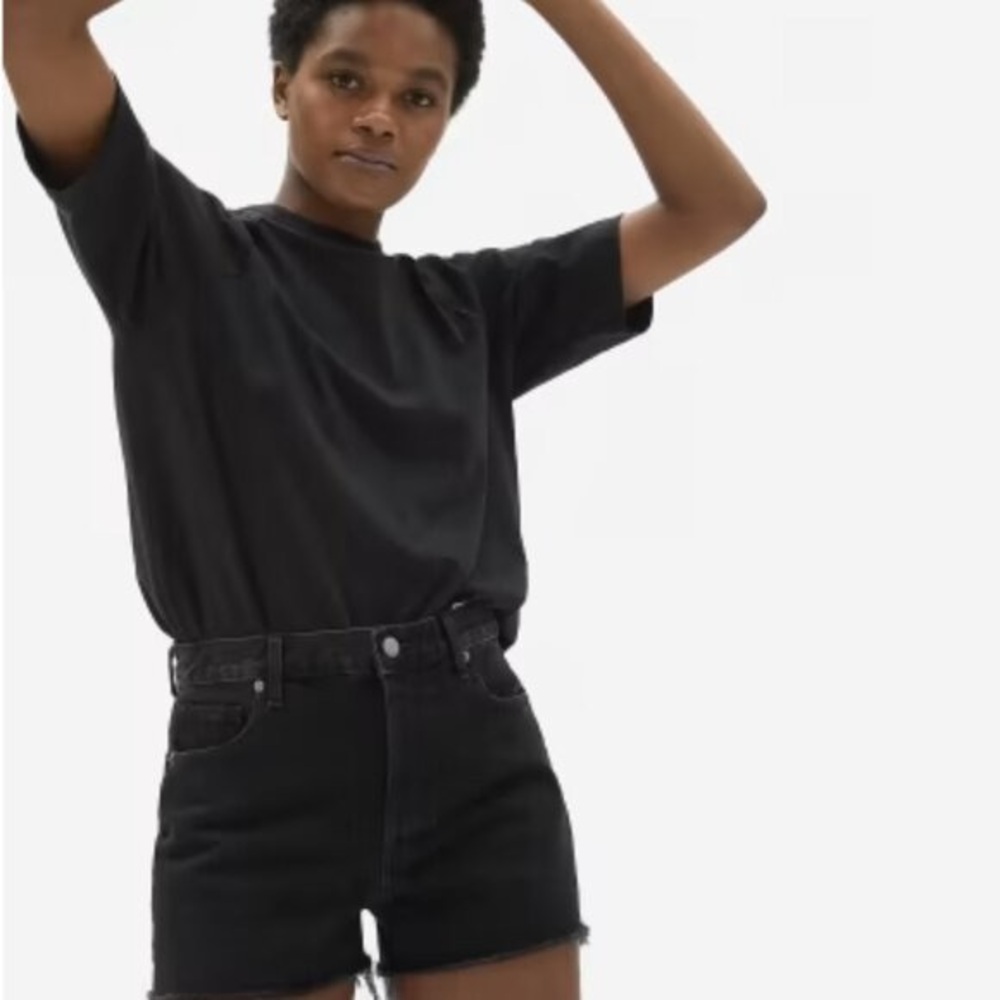Everlane Cheeky Denim Short In Sandy Black